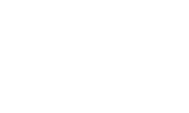 FLG logo